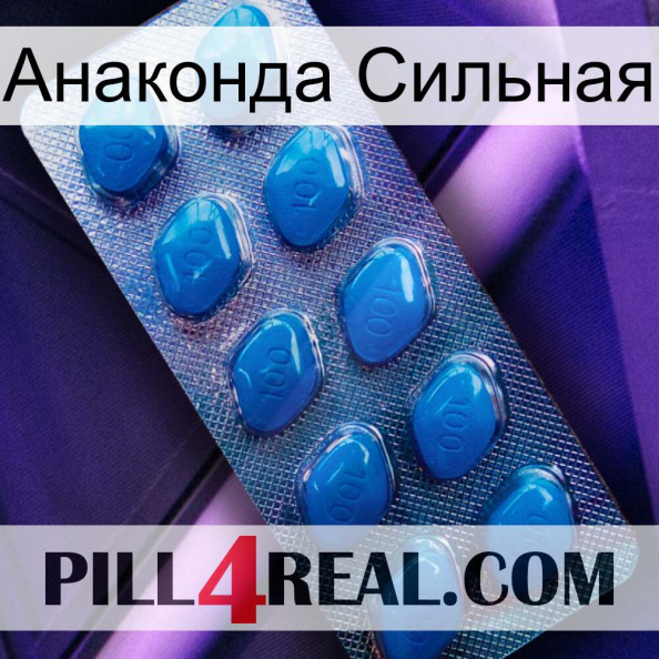 Анаконда Сильная viagra1.jpg